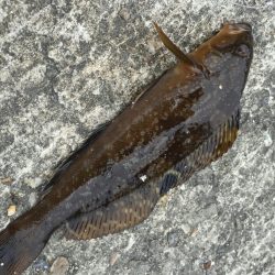 今日もまた(^_^)